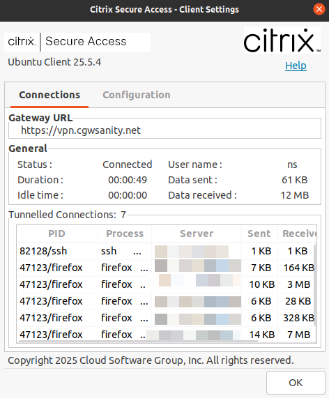 Citrix Secure Access client connection settings