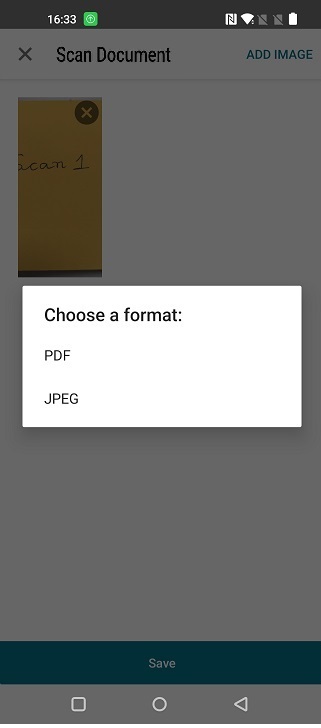 Document scan format
