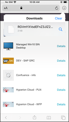 Download Manager