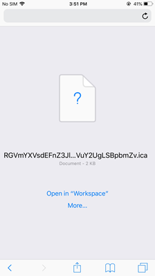 Open in Workspace