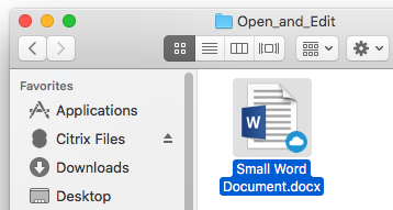 Abrir arquivo na tela Citrix Files para Mac