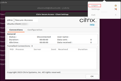 Citrix Secure Access client launch