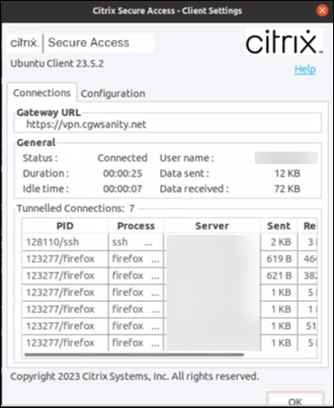 Configurações de conexão do cliente Citrix Secure Access