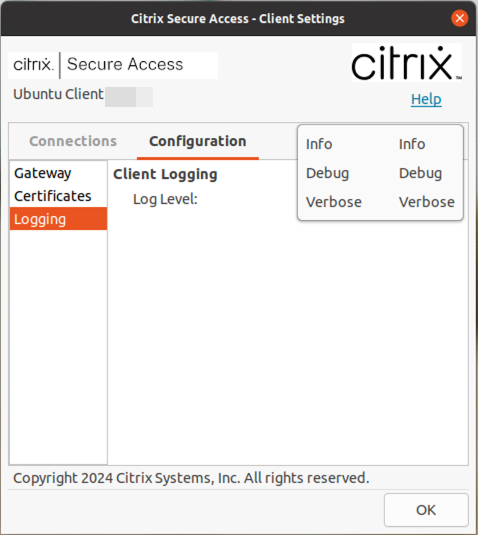 Citrix Secure Access client logging